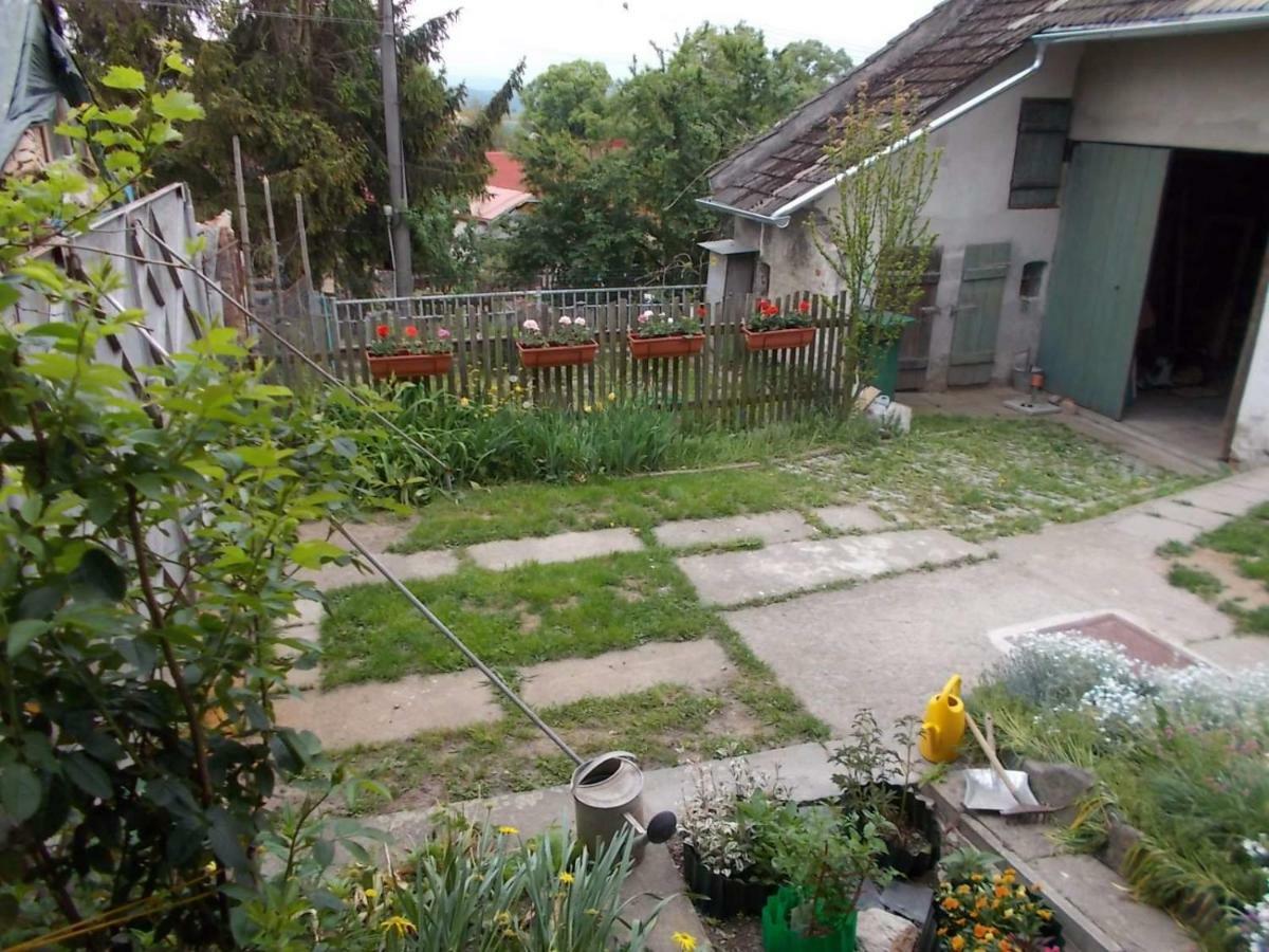 U Babicky A Jeji Psi Smecky Guest House Weselitschko Eksteriør bilde